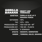Gorilla Banana X7 - Bsf Seeds