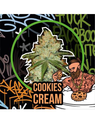 Cookies Cream Auto x7 - Delirium seeds