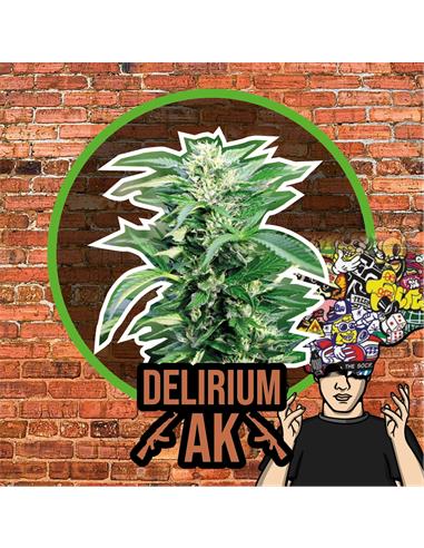 Delirium AK x1 FEM - Delirium Seeds