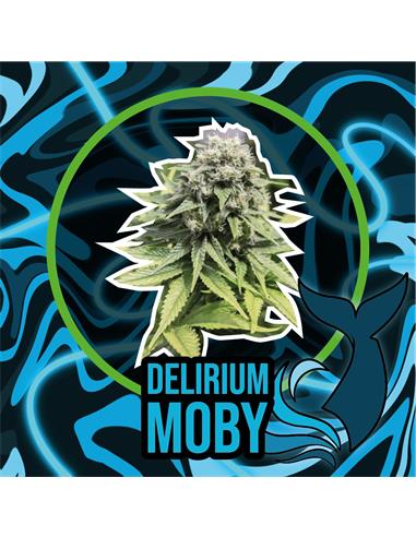 Delirium Moby x1 FV - Delirium Seeds
