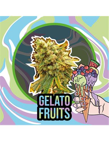 Gelato Fruits FEM x1- Delirium Seeds
