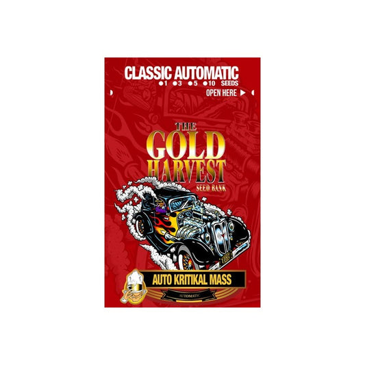 Gold Harvest Auto Kritikal Mass (1ud)