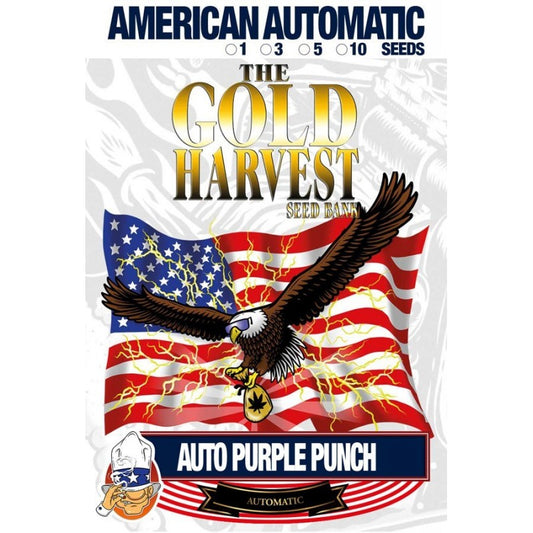 Gold Harvest Auto Purple Punch (1ud)