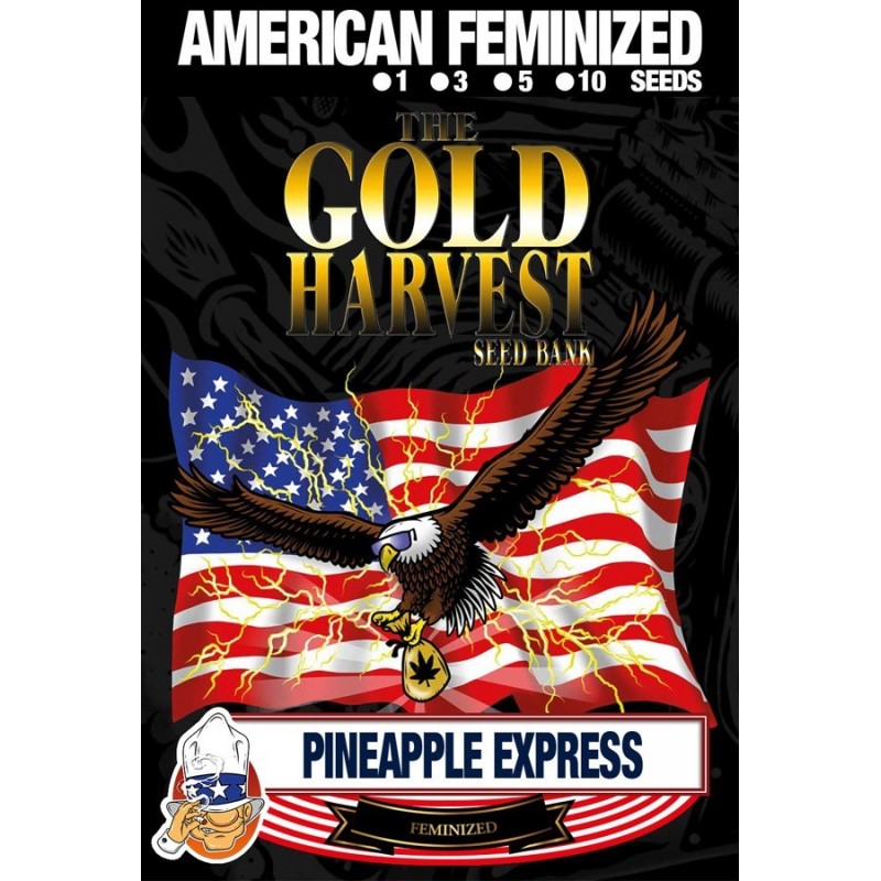 Gold Harvest Pineapple Express (1ud)