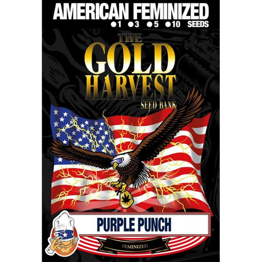 Gold Harvest Purple Punch (1ud)