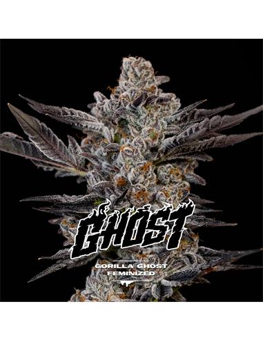 Gorilla Ghost GK X7 - Bsf Seeds