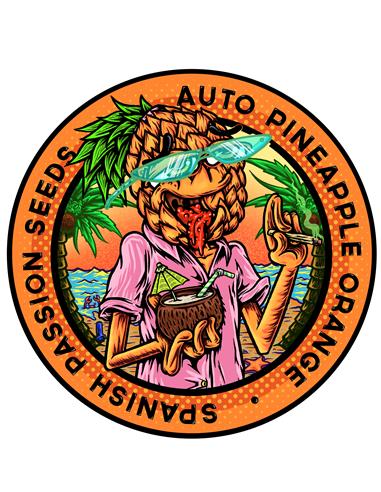 Pineapple Orange Auto X3 - Spanish Passion Seeds