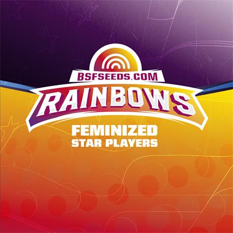 STAR PLAYER Rainbows X4 - BSF SEEDS